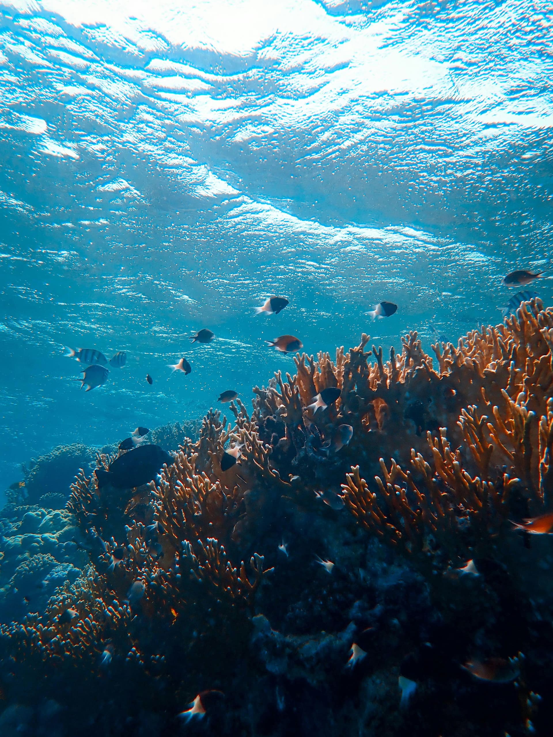 Low Contrast Image With A Distracting Element